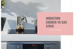 Induction stove vs gas stove